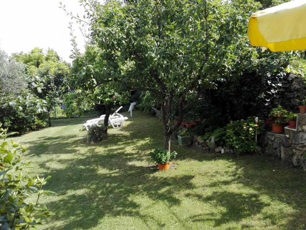 Apartments Jadranka With Magnificent Views Of The Sea - Baska 外观 照片
